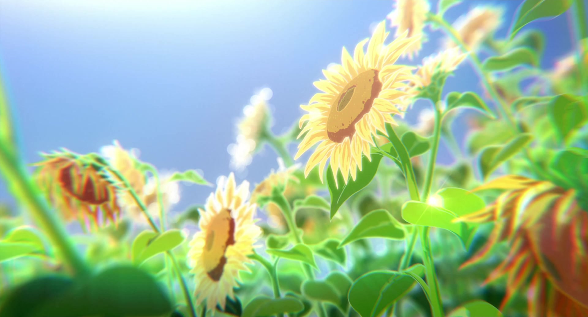 [Tsukyio Editing Resources] A Silent Voice Movie - 0760.mp4